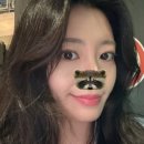 수족관마트 | 모모치해변 근처 가볼만한 곳, 후쿠오카 타워 & 미니 수족관 후기