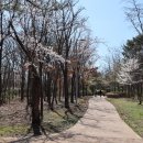 솔내공원 이미지