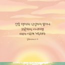 교회를 망하게 하는 리더의 10가지 징후 이미지