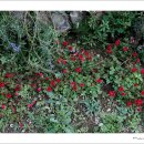 호박민박 이미지