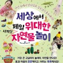 책놀이숲놀이유치원 이미지