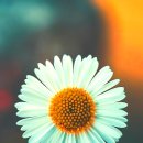 연세정인치과의원 이미지