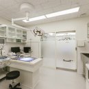 서울동물메디컬센터 이미지