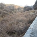 포항시북구15 이미지