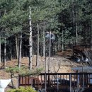 펜션아이리스 이미지