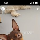프롬몽쥬 네이버블로그