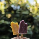 오도이촌 이미지