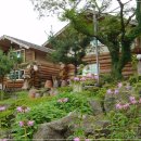 로그맨 하우스 이미지