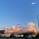 타코링링 | 7월 4주차(요가 등록/3주째 타코갱/2시간 산책/과일시루/아우내엄나무순대)