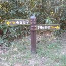 알프스리조트 이미지