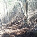 하루농장 이미지