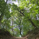 *[행복/동행]제114차 광명로알산악회 정기산행 사진 이미지