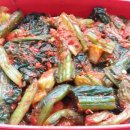 김종임 | 내돈내산 김종임 갓김치후기