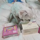 야탑서울동물병원 이미지