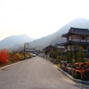 단양정민박 네이버블로그