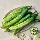 진리오이 이미지