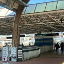 2040 | [일상 기록] 도파민 터졌던 과천 렛츠런파크 서울 방문 후기/2040 놀라운지 후기