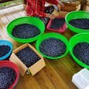 연일농장 이미지