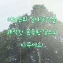 초록느낌 이미지
