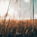 동백유통 이미지
