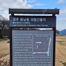 11650-17-22-8 | 경주여행 22, 경주 계림과 월성, 고요한 천년 숲길 산책 후기