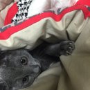 포도스토리