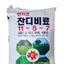 한농종묘사 이미지