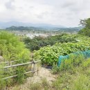 강상면사무소 이미지