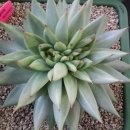 마리아농장 이미지