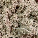 문덕장류마을 이미지