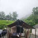산으로간니모 이미지