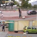 할매건강원