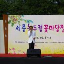 세종마당 이미지