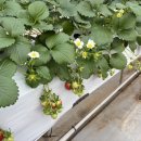 여울농장2 이미지