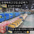 유쾌육회고깃집