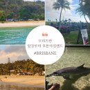 브리즈번 모튼아일랜드(모튼섬) 탕갈루마 리조트 | 쿼드바이크, 돌고래 먹이주기, 일몰, 라운지 이용후기