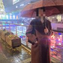 청계천 베를린광장(한화빌딩 앞) | 서울 한복판 청계천에 나타난 '잉어킹' - 실물보러 가기