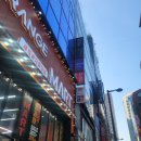 슬림영의원 이미지