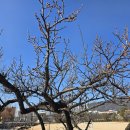 김해건설공업고등학교 이미지