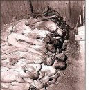 플루오린 이미지