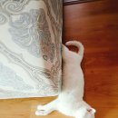 상구3리 이미지