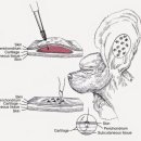 방주동물의료센터 이미지
