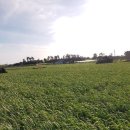 대정읍 다목적 회관 이미지