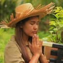 춘천하나약국 이미지