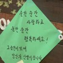 봄이네구제 | [3月 - 下 ] 도비는 free가 되...