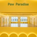 포우 파라다이스 이미지