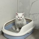 (주)씨스페이스유성봉명점 | 2025.08 요약