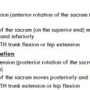 Sacroiliac Joint 관련 정리 자료 이미지