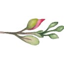 순천간이음식점 이미지