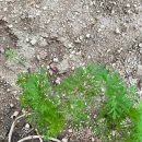 무럭이농장 이미지